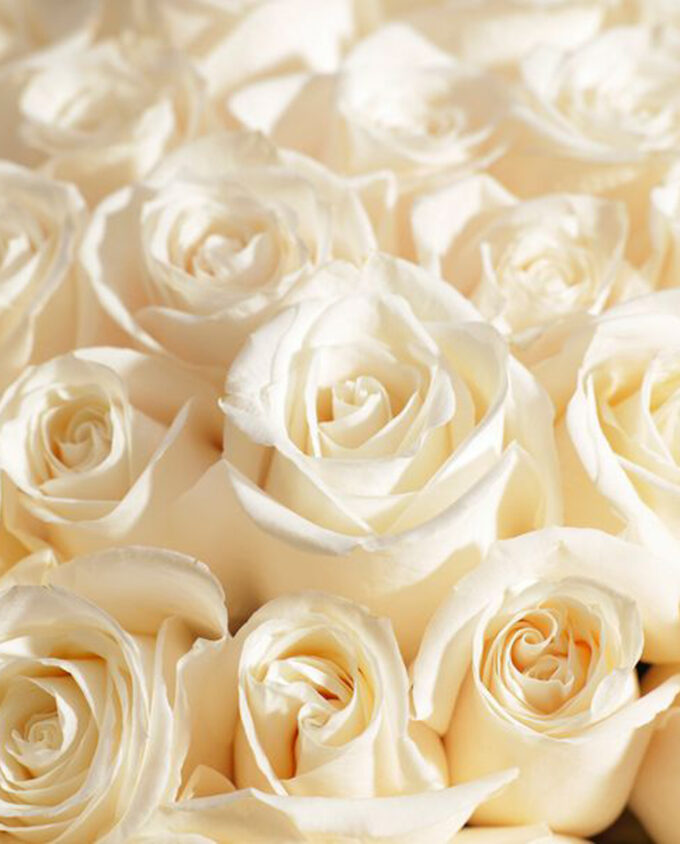 royal white rose grand bouquet - Image 2