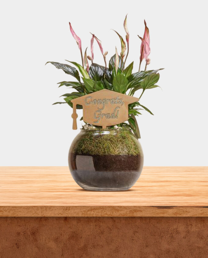 graduation chocolate & flower party set - Image 2