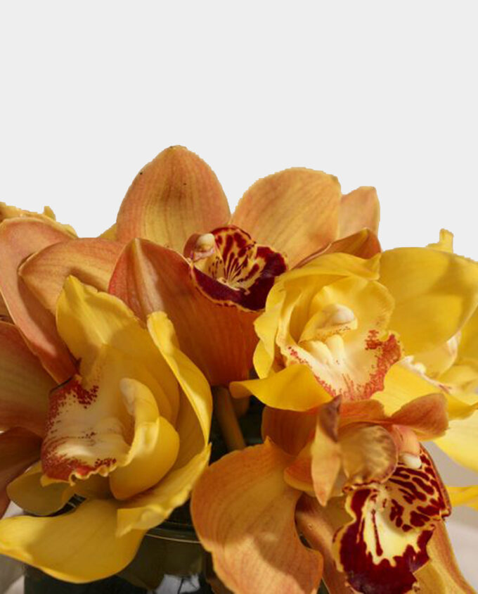 lush haven hydrangea vase - Image 2
