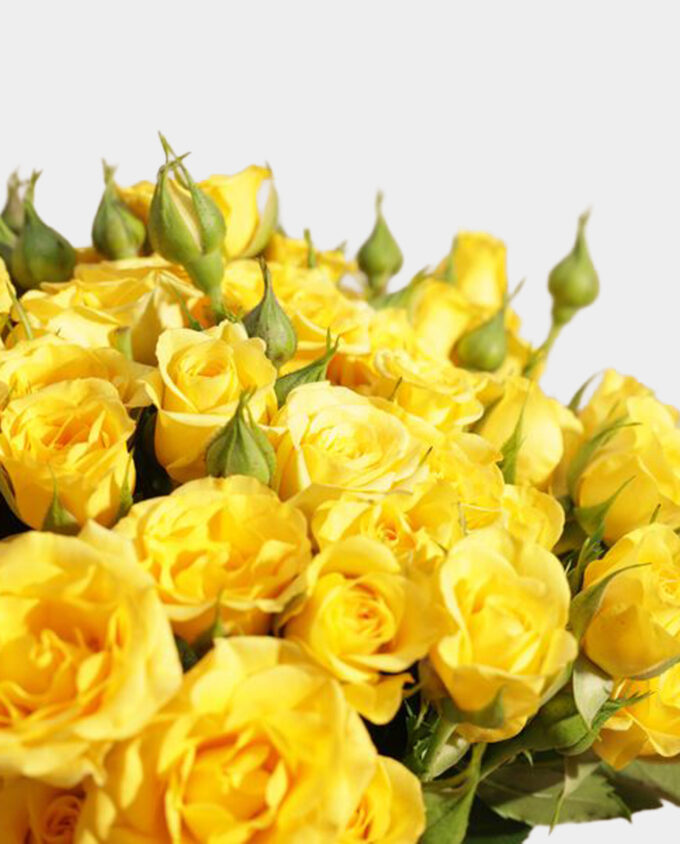 romantic elixir flower vase