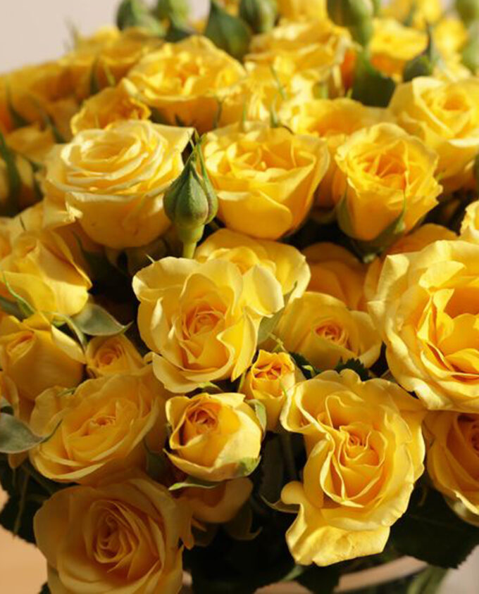 romantic elixir flower vase - Image 2