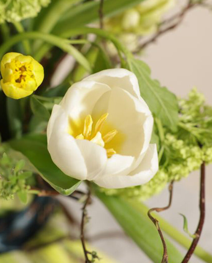 blush tulip bloom bouquet