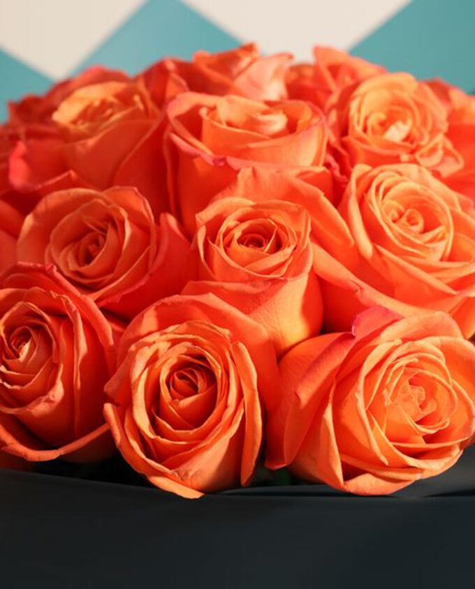 strawberry bloom delight - Image 2