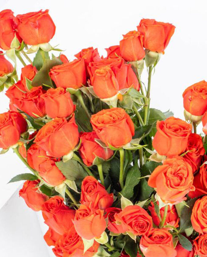 radiant romance vase