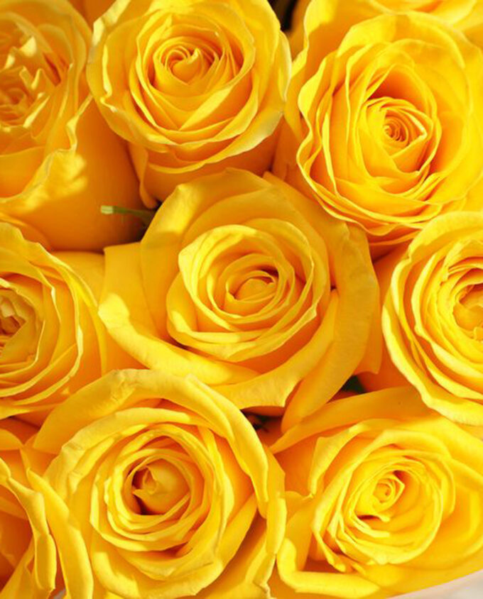 Sunshine Wishes Birthday Bouquet - Image 2