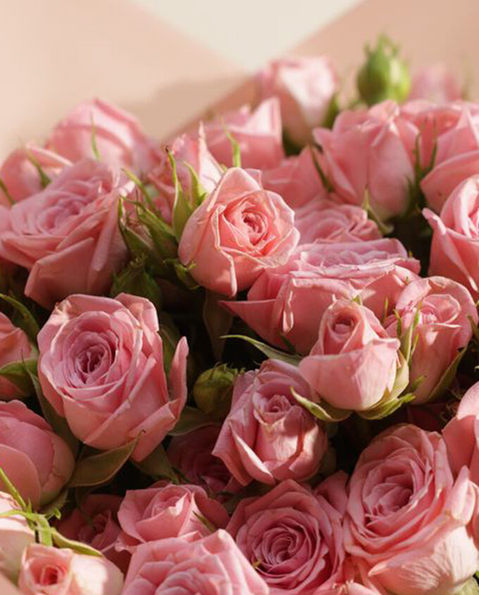 sweet bloom delight set - Image 2