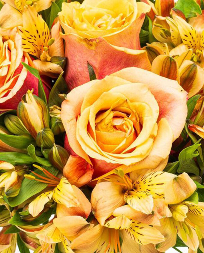 sunshine celebration bouquet