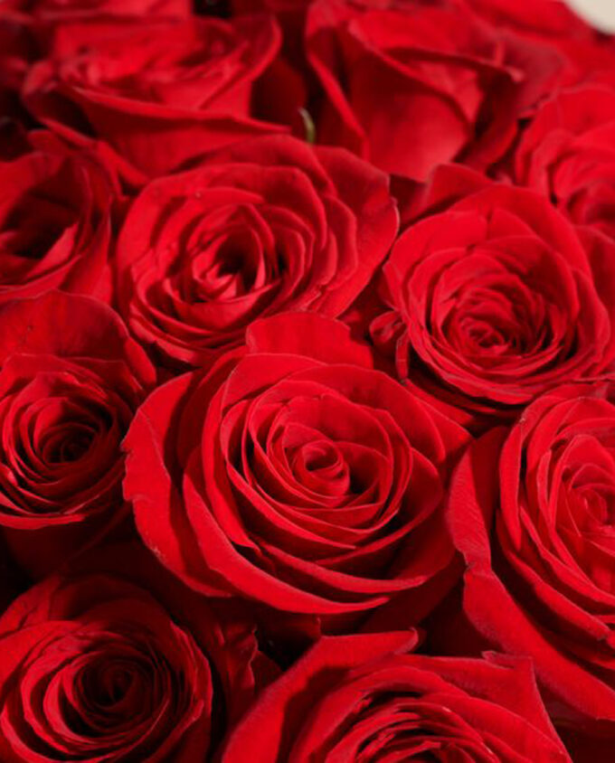 Timeless Flame Rose Vase - Image 2