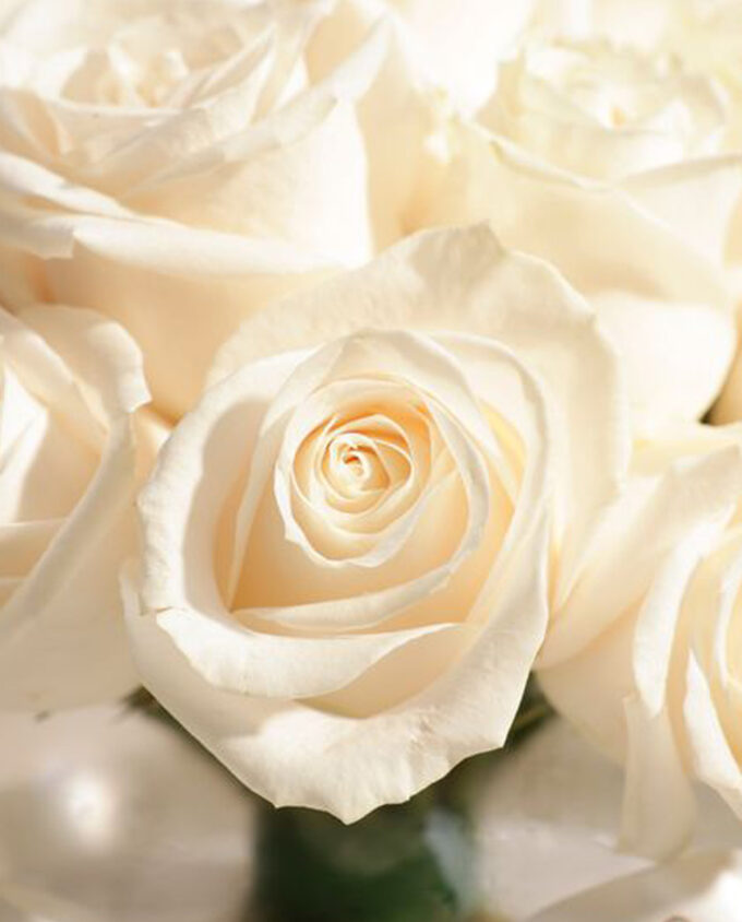 Pure Peace Vase