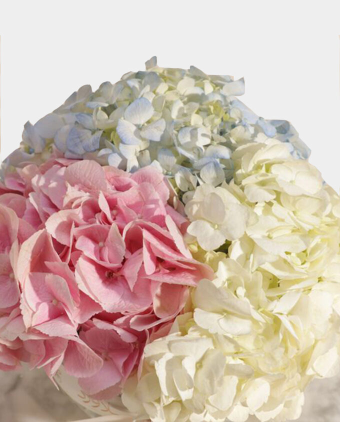 Tricolor Embrace Hydrangea Vase - Image 2
