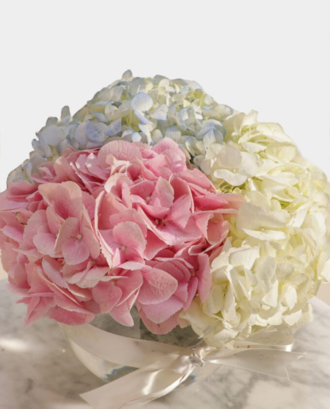 Tricolor Embrace Hydrangea Vase - Image 3
