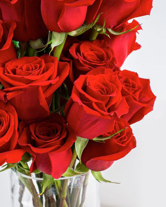 True Affection Rose Vase - Image 2