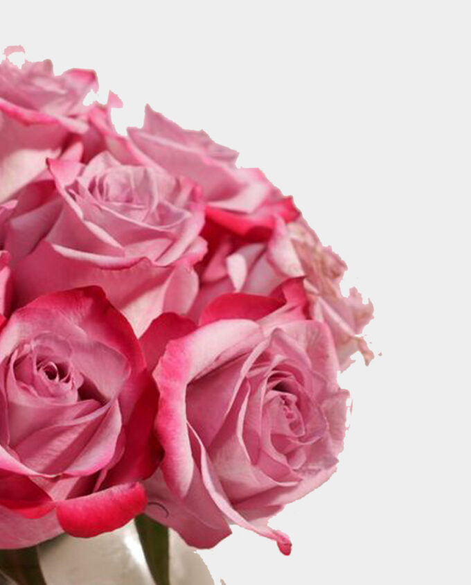 lavender grace baby roses vase - Image 2