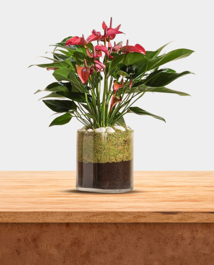 lunar blossom pot - Image 3