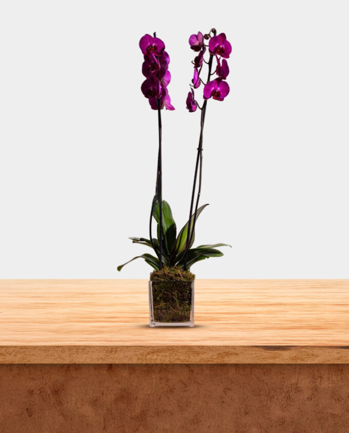 white harmony floral vase - Image 2