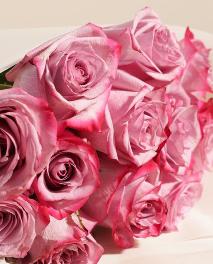 scented affection surprise