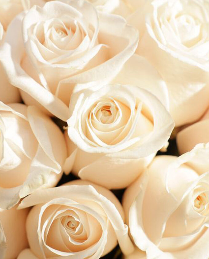 cloud of affection bouquet - Image 2