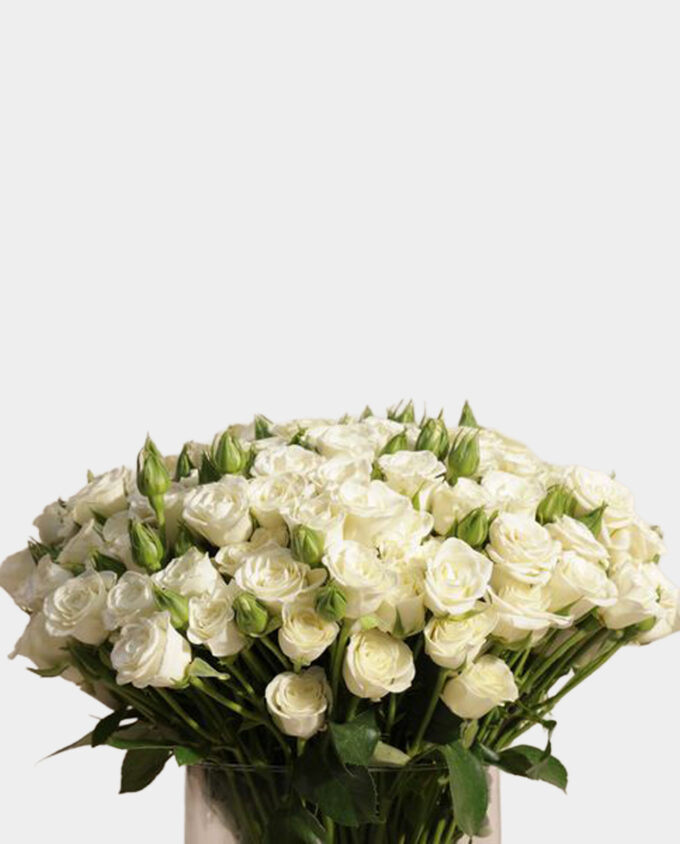 angelic white bloom vase