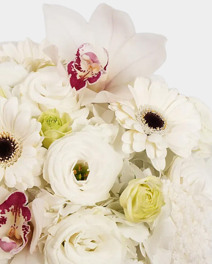 blush basket surprise