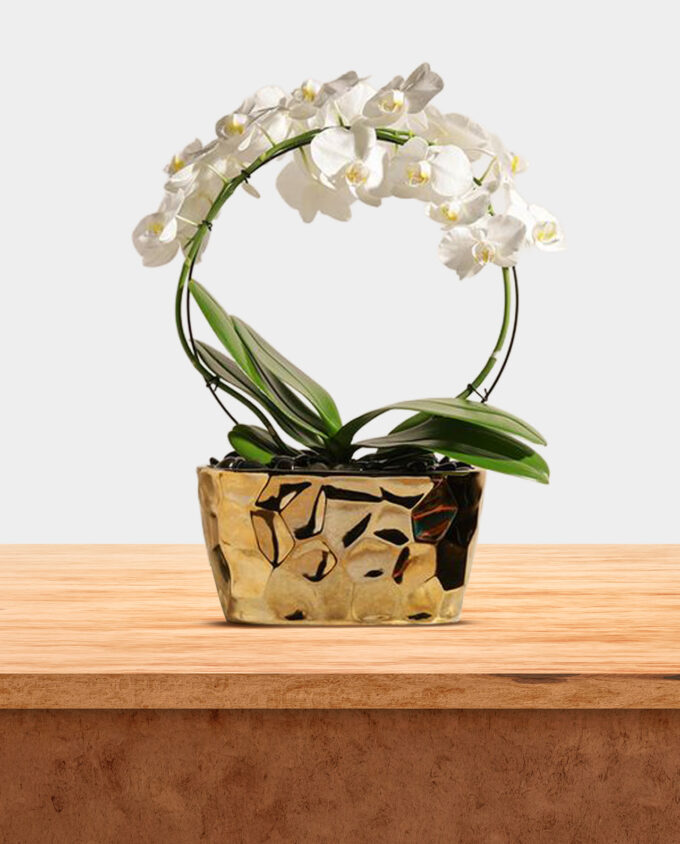 peach orchid bloom pot - Image 3