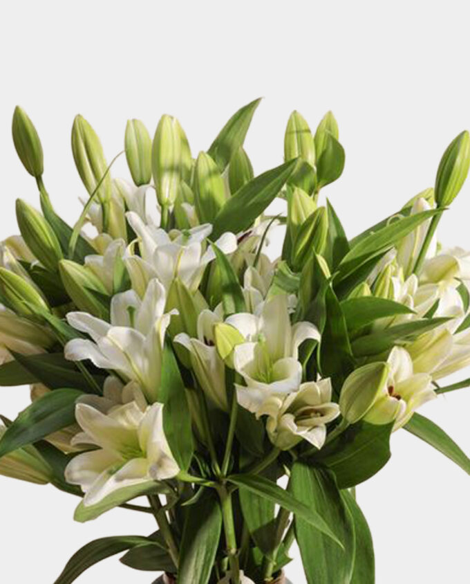 basket of forever blooms