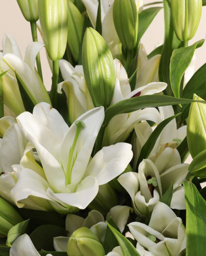 basket of forever blooms - Image 2
