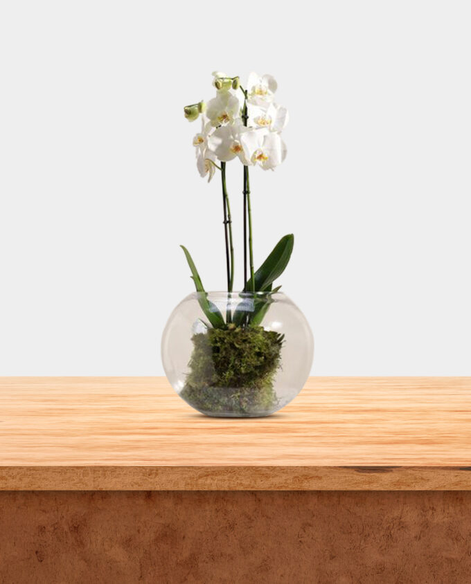 cool breeze gift set for him - Image 2