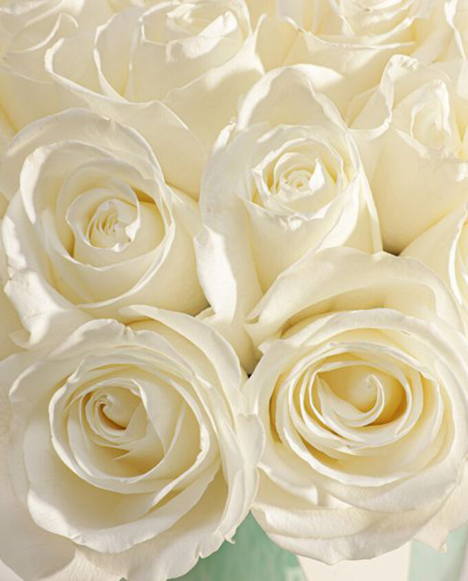 get well dates & rose vase