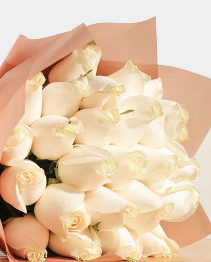 snowfall rose cascade