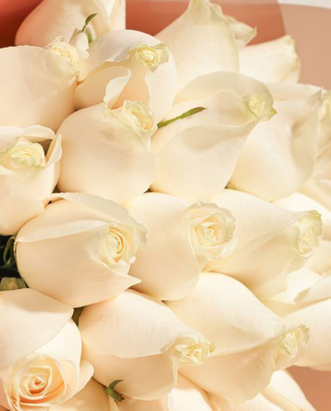 snowfall rose cascade - Image 2