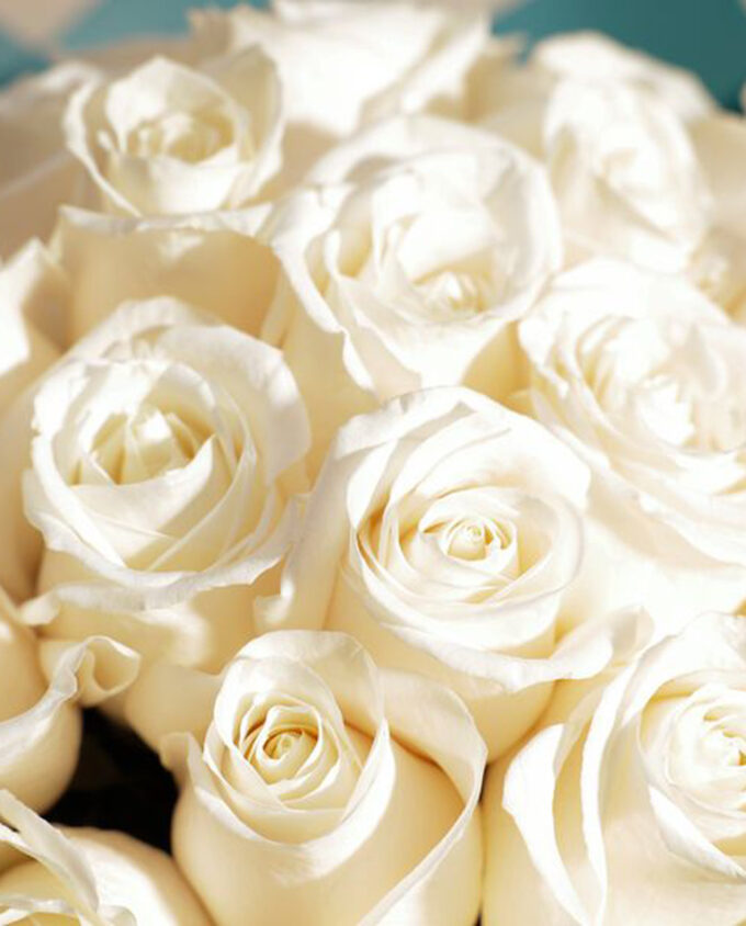 timeless white elegance bouquet