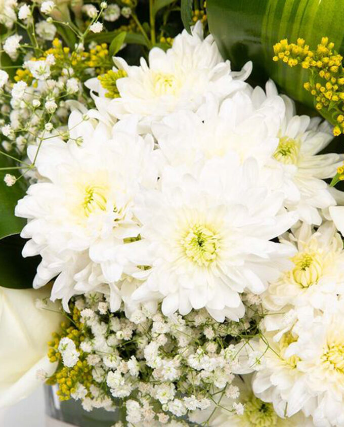 carnations of affection vase