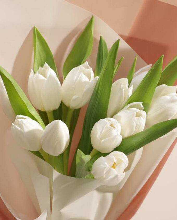 timeless rose collection - Image 2