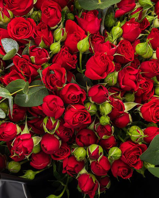 passion pulse rose box