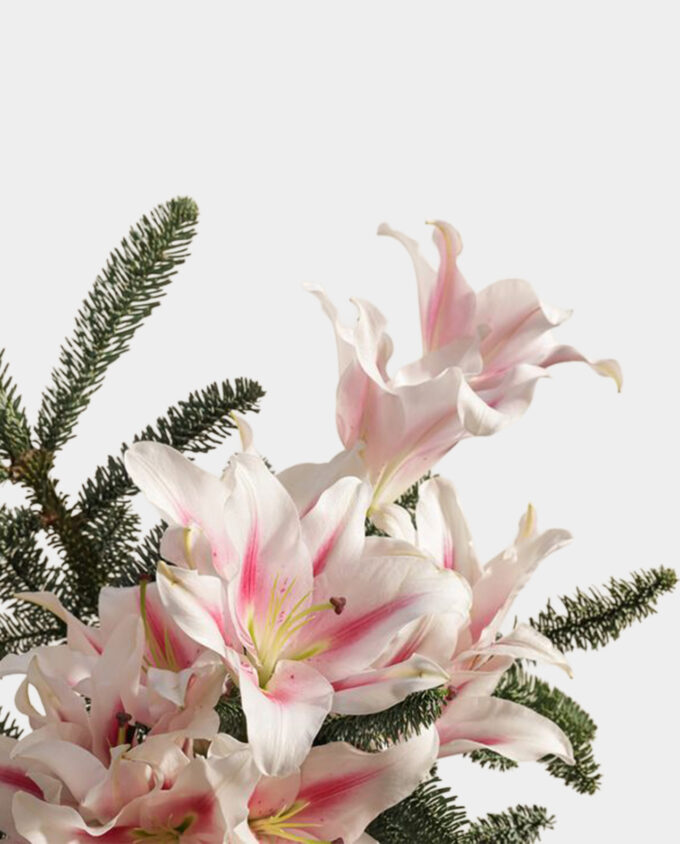 Winter Blush Lily Box - Image 2