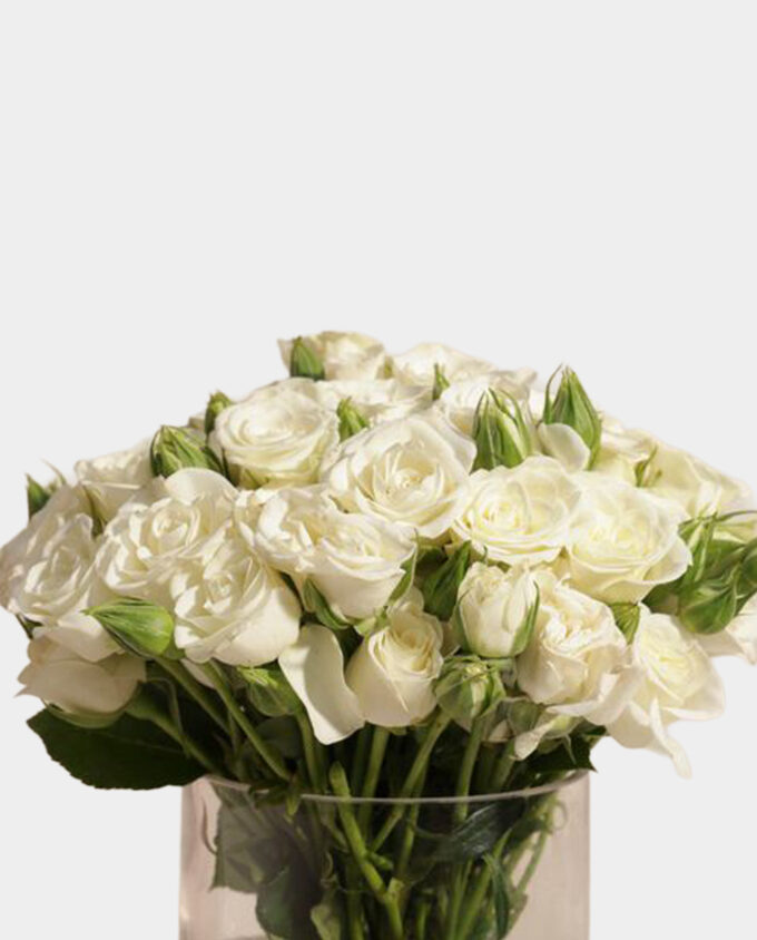 snow kiss baby rose vase - Image 2